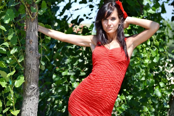 Giovane donna posa vicino all'albero — Foto Stock