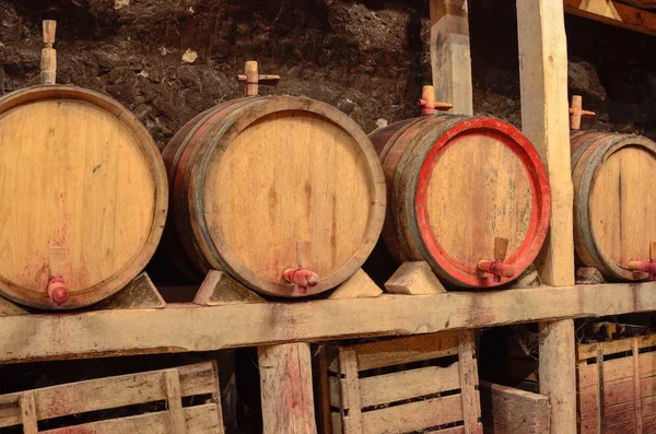 Wooden wine barrels in an underground cellar — Stock Photo, Image