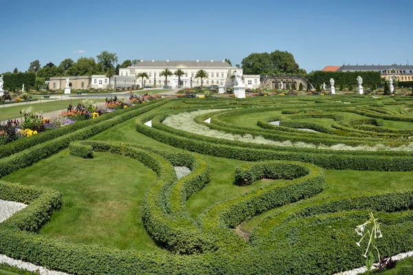 Boxwood decorations and flowers in Herrenhausen Gardens, Hanover — Stok fotoğraf