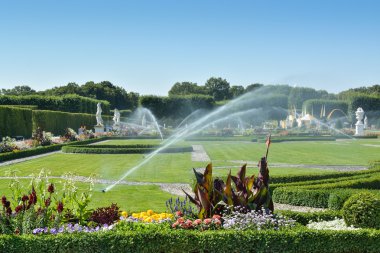 Boxwood decorations and flowers in Herrenhausen Gardens, Hanover