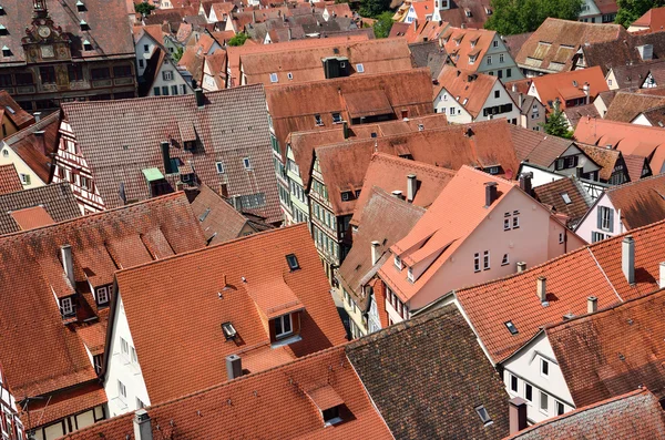 Střechy na starém městě tuebingen, Německo — Stock fotografie