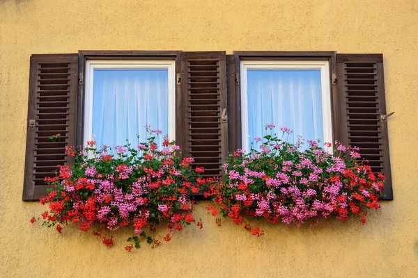 Une vieille fenêtre avec volets à Tubingen, Allemagne — Photo