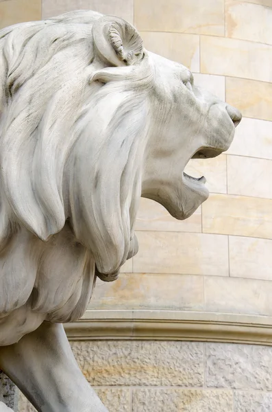 Statue of a lion, a new town hall of Hanover, Germany — Stock Photo, Image