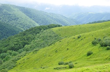 dağlar tarlaları