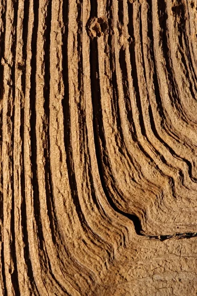 Fundo de madeira macro — Fotografia de Stock