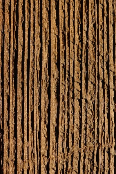 Trä bakgrund makro — Stockfoto