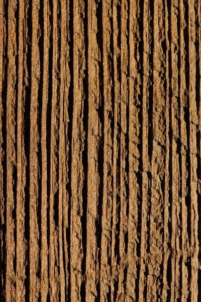 Legno sfondo macro — Foto Stock