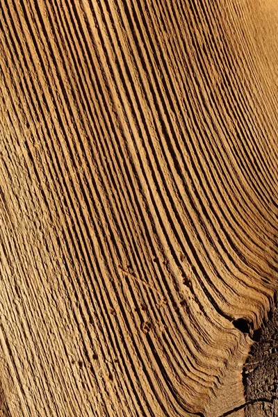 Fundo de madeira macro — Fotografia de Stock
