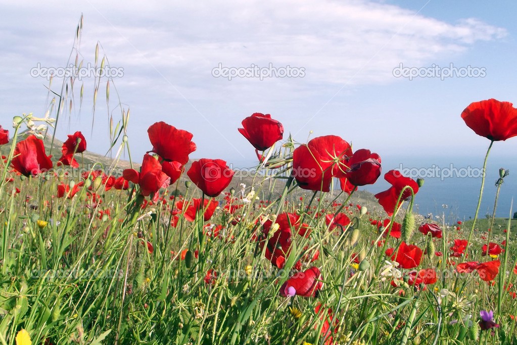 motril