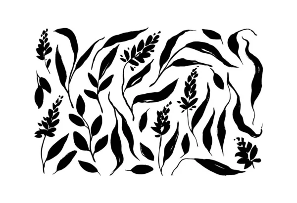 Dalgalı uzun yapraklı ağaç dalları — Stok Vektör