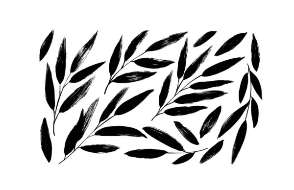 黑色分枝、叶子或小枝剪影 — 图库矢量图片