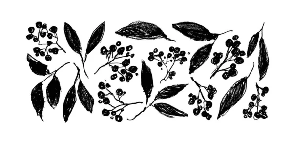 Yapraklı dallar ve böğürtlen vektör koleksiyonu — Stok Vektör