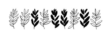 Siyah yapraklı bitki dalları vektör çizimleri ayarlandı. Zeytin yaprağı koleksiyonu siluetleri ve ana hatları. Vektör el çizilmiş siyah çizgi tasarım elementleri. Dallar ve dallar. Botanik bitkisi.