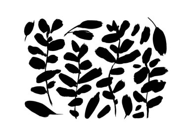 Set of silhouette branches with leaf and stem. Hand drawn vintage botanical vector design elements. Black botanical silhouettes, eucalyptus branches isolated on white. Rustic decorative plants