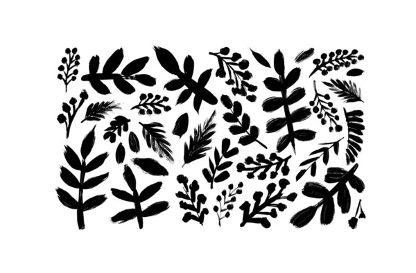 Leaves Pine Branches Vector Collection Hand Drawn Plant Silhouettes Painted — Stockový vektor