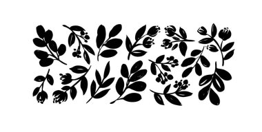 Küçük yapraklı ve çiçekli dallar ekin. Beyaz arka planda yaban çiçekleri, çayır yaprakları ve otlarla izole edilmiş siluetlerin vektör çizimi. El çizimi siyah fırça dalları siluetleri