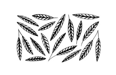 Dekoratif damarlı siyah yapraklar. El yapımı botanik klipsi sanat vektör koleksiyonu. Karalama tarzında egzotik yapraklar. Dekoratif kırsal bitki elementleri, beyaz üzerine izole edilmiş dallar..