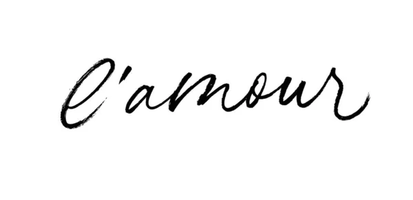 Amour Modern Brush Calligraphy Word Love French Modern Calligraphy Script — 图库矢量图片