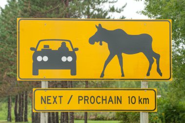 Moose uyarı