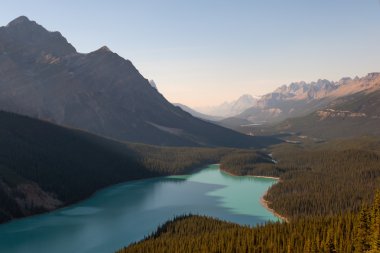 Peyto Gölü