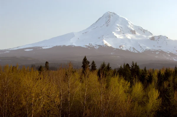 Gunung Hood — Stok Foto