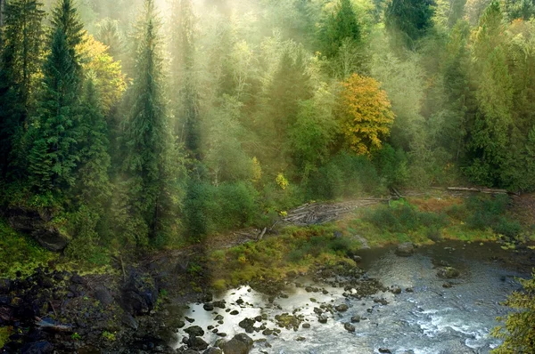 Mountain stream — Stock Photo, Image