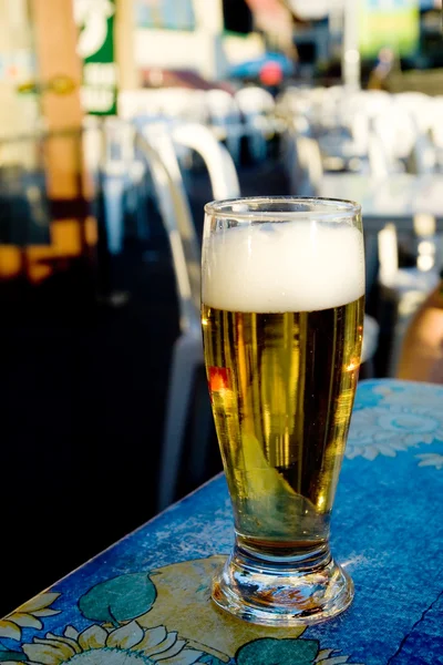 Proost.! — Stockfoto