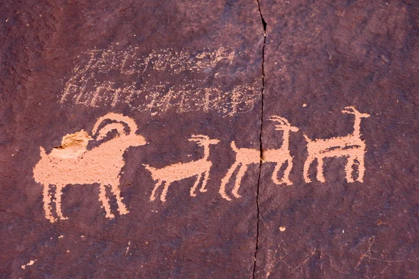 Ősi petroglyphs — Stock Fotó