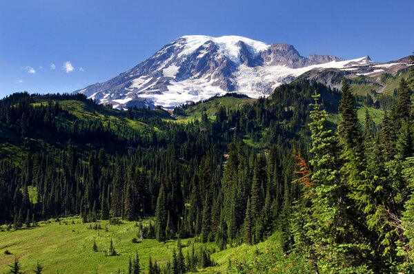 Mount Rainier National park, Washington