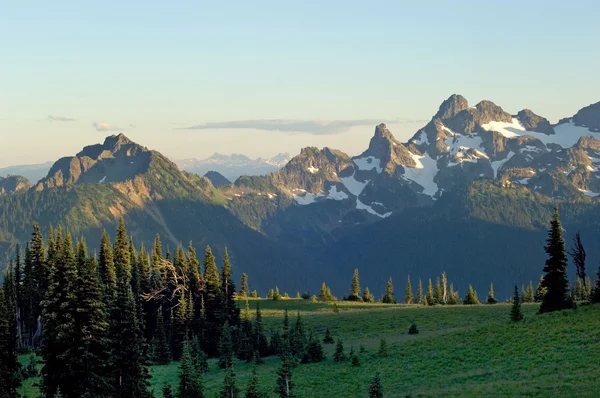 Mount Rainier nationalpark, Washington — Stockfoto