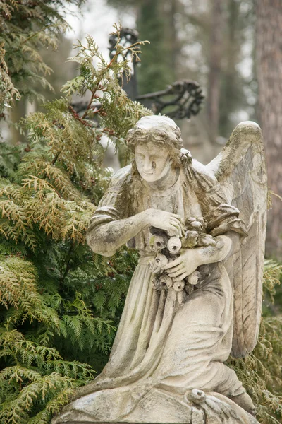 Muzeum Lyčakovský hřbitov — Stock fotografie