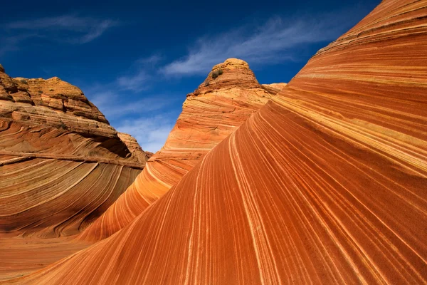 The Wave — Stock Photo, Image