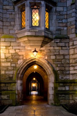 Yale Üniversitesi