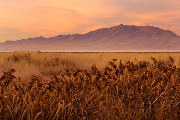 Antelope island sunrise — Stock Photo, Image