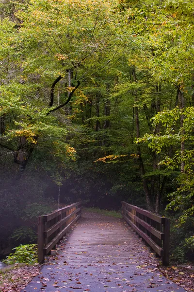 Fog in Great Smoky Mountains — Stock Photo, Image