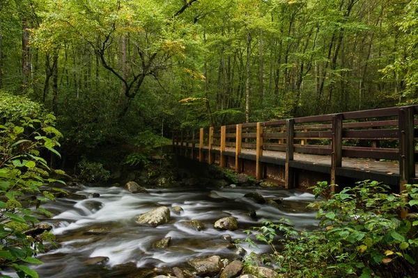 Dimma i great smoky mountains — Stockfoto