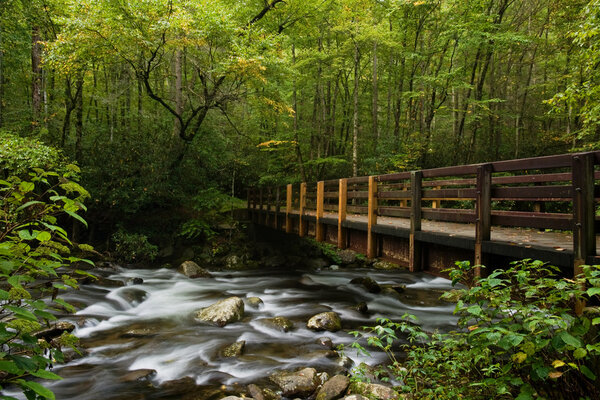 Fog in Great Smoky Mountains