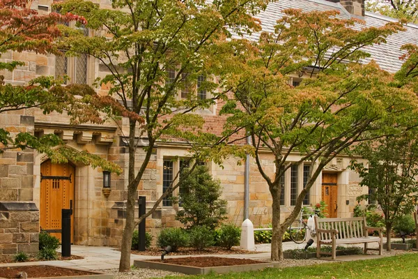 Yale Üniversitesi