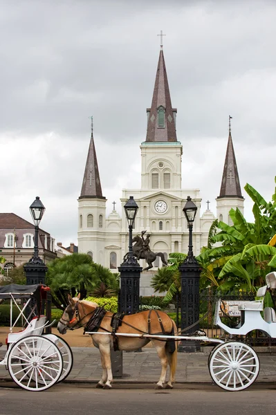 Katedral St Louis, New Orleans — Stok Foto
