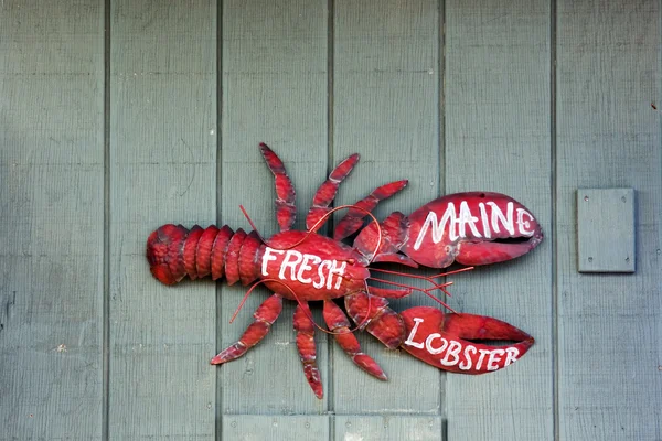 Maine lobster — Stock Photo, Image