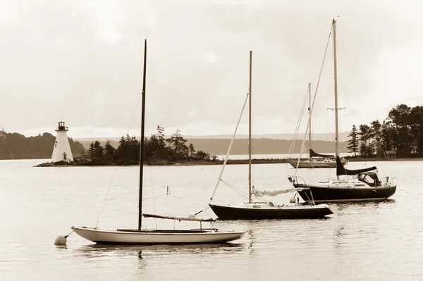 브래지어 d 또는 호수 — 스톡 사진