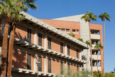 Arizona Devlet Üniversitesi
