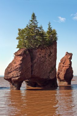 Hopewell rocks at high tide clipart