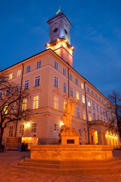 Radnice na náměstí s trhem ve Lvově — Stock fotografie