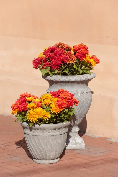 Blumen vor dem Souvenirladen in Albuquerque — Stockfoto