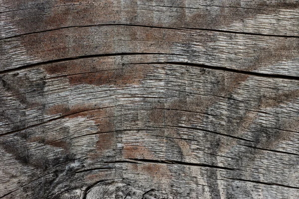 Close-up of the texture of old wood — Stock Photo, Image