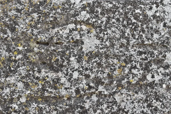 오래 된 돌 표면 — 스톡 사진