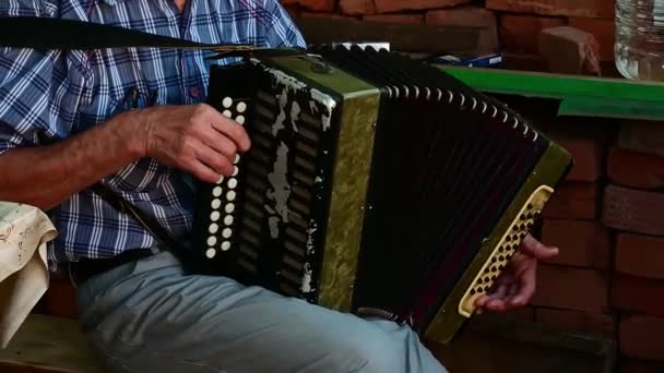 Uomo Anziano Che Gioca Con Una Vecchia Fisarmonica Palcoscenico All — Video Stock