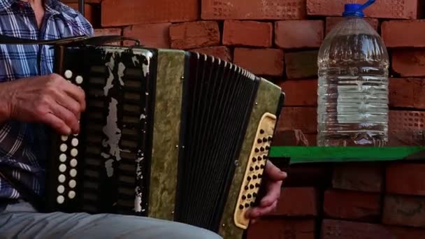 Senior Man Playing Old Accordion Outdoor Stage Sitting Chair — Stock Video