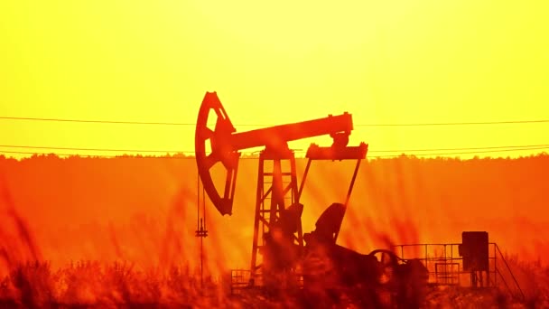 Силует Нафтових Насосів Великому Нафтовому Родовищі Сході Сонця — стокове відео